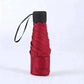 Small Folding Umbrella Rain Women Gift Men